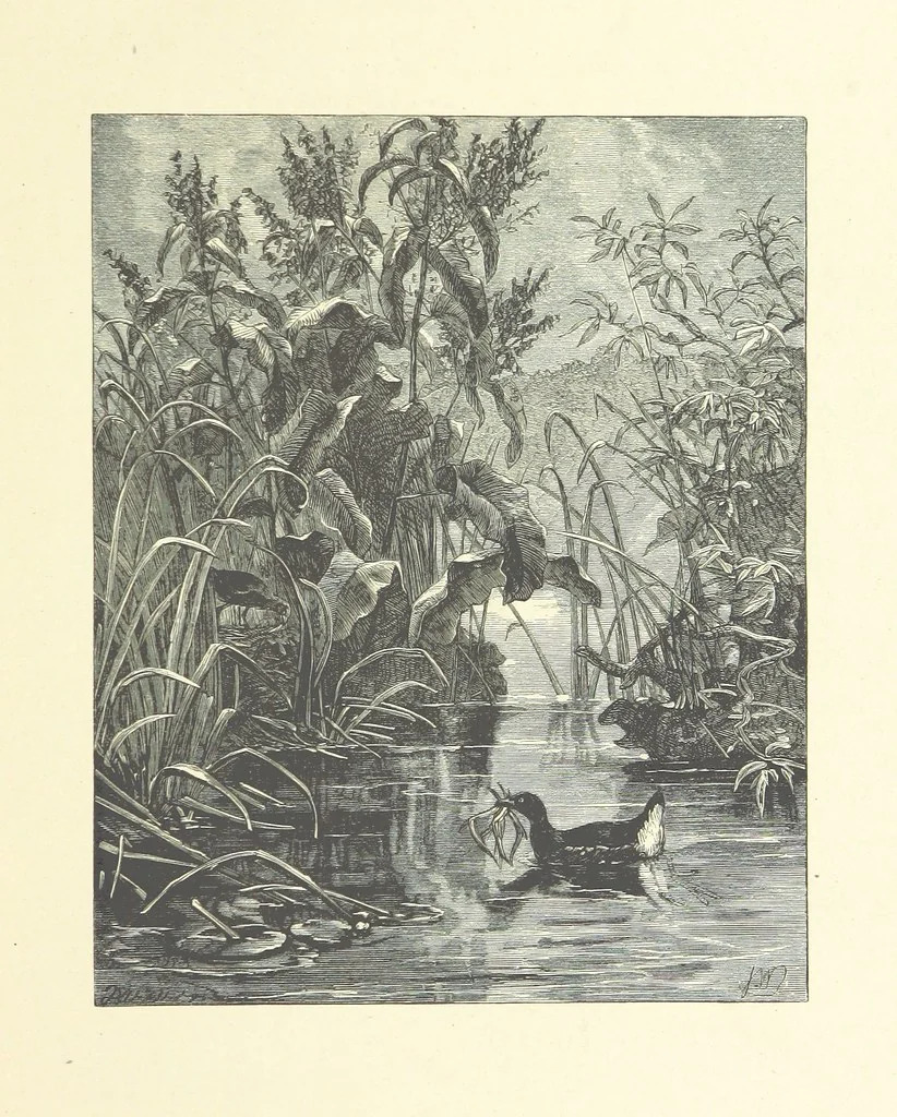 An illustration from Picture Posies. Poems chiefly by living authors, and drawings by F. Walker, J. W. North, A. B. Boughton [and others] ... Engraved by Dalziel Brothers, 1874, leaf 255