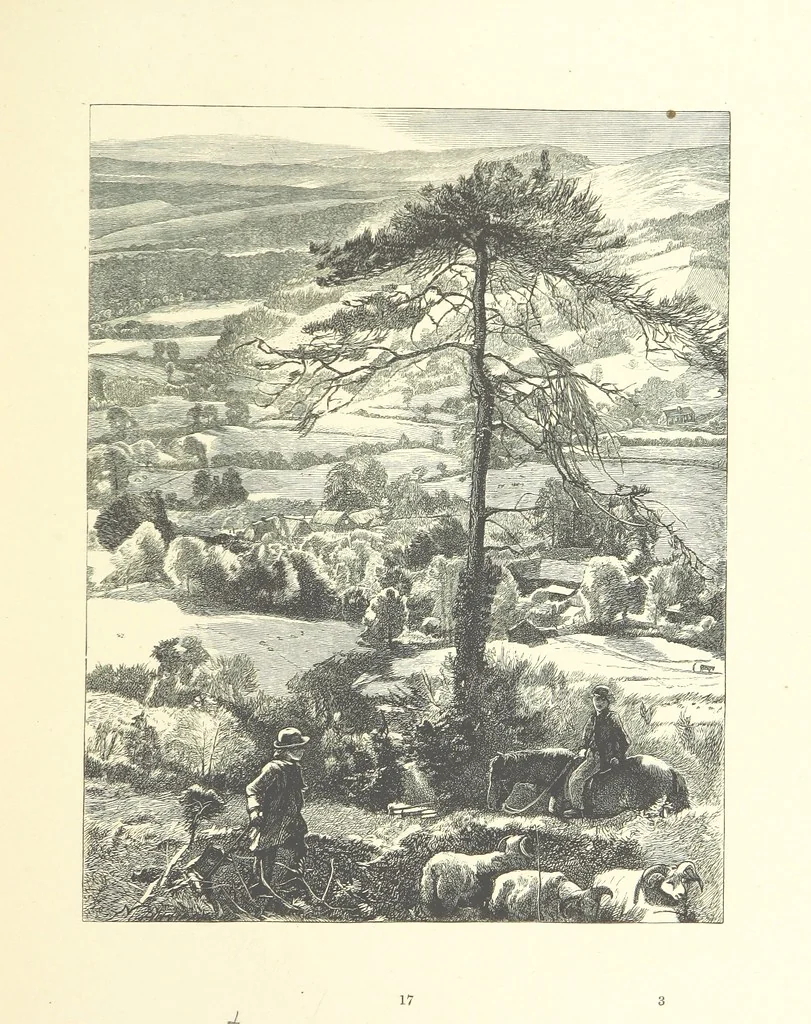 An illustration from Picture Posies. Poems chiefly by living authors, and drawings by F. Walker, J. W. North, A. B. Boughton [and others] ... Engraved by Dalziel Brothers, 1874, leaf 39