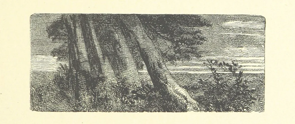 An illustration from Picture Posies. Poems chiefly by living authors, and drawings by F. Walker, J. W. North, A. B. Boughton [and others] ... Engraved by Dalziel Brothers, 1874, leaf 51