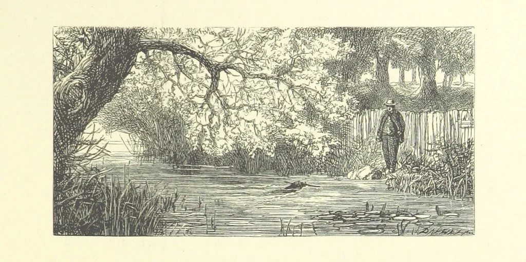 An illustration from Picture Posies. Poems chiefly by living authors, and drawings by F. Walker, J. W. North, A. B. Boughton [and others] ... Engraved by Dalziel Brothers, 1874, leaf 95