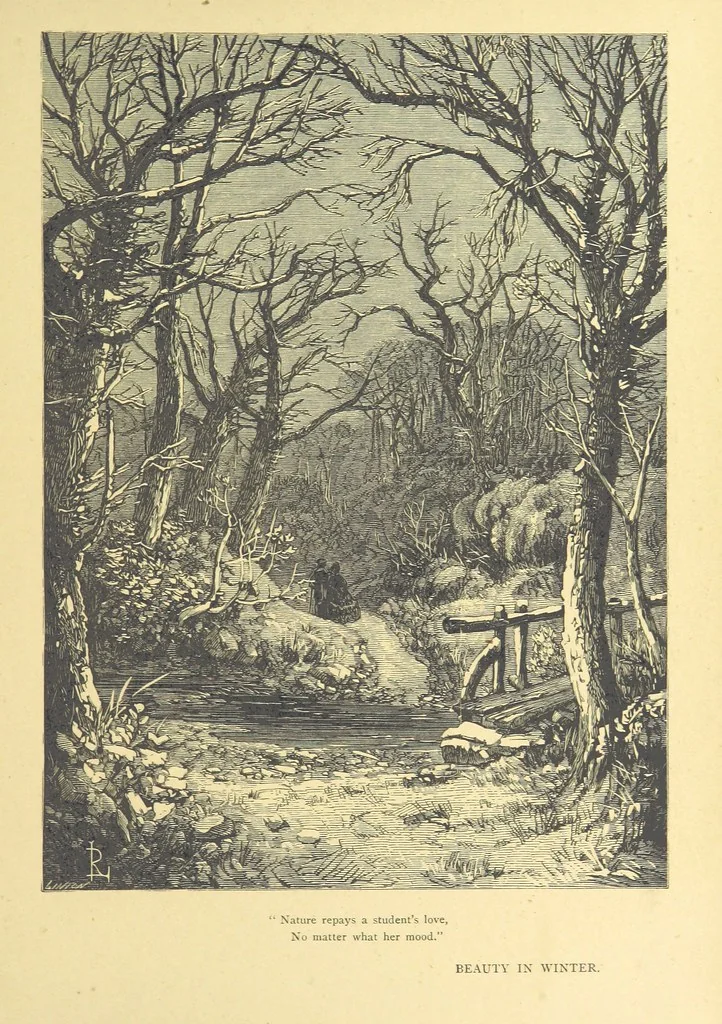 An illustration from Idyllic Pictures. Drawn by Barnes, Miss E. Edwards, P. Gray, Houghton, R. P. Leitch, Pinwell, Sandys, Small, G. Thomas, etc, 1867, leaf 209