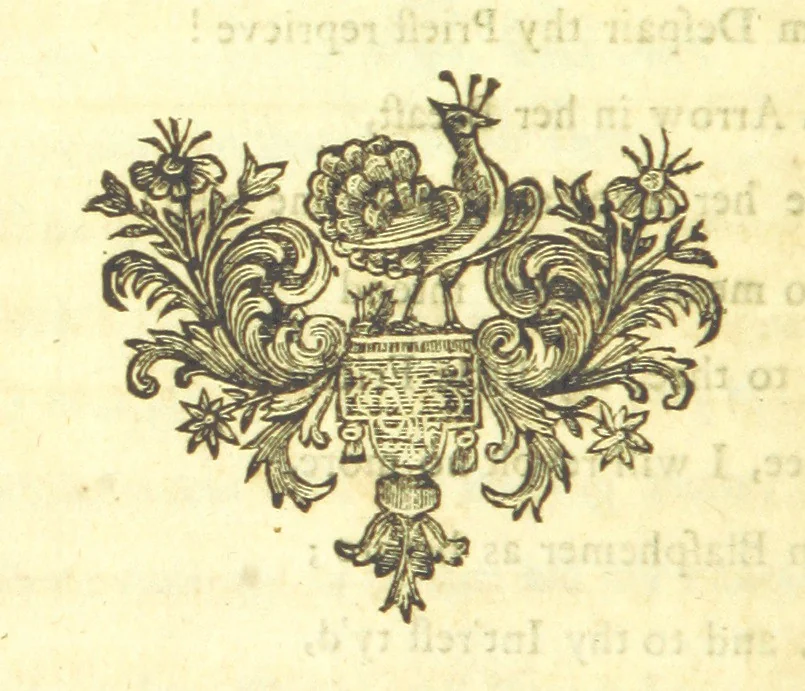 An illustration from Poems, amorous, moral and divine, 1718, leaf 36