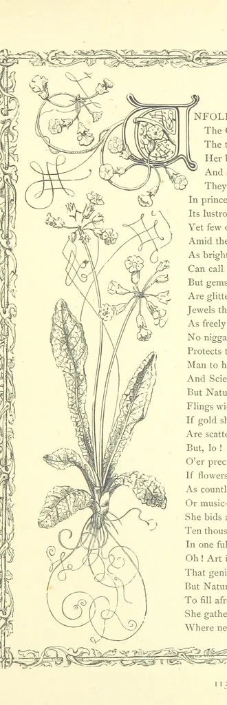 An illustration from Poems and Pictures ... A new edition, 1865, leaf 129
