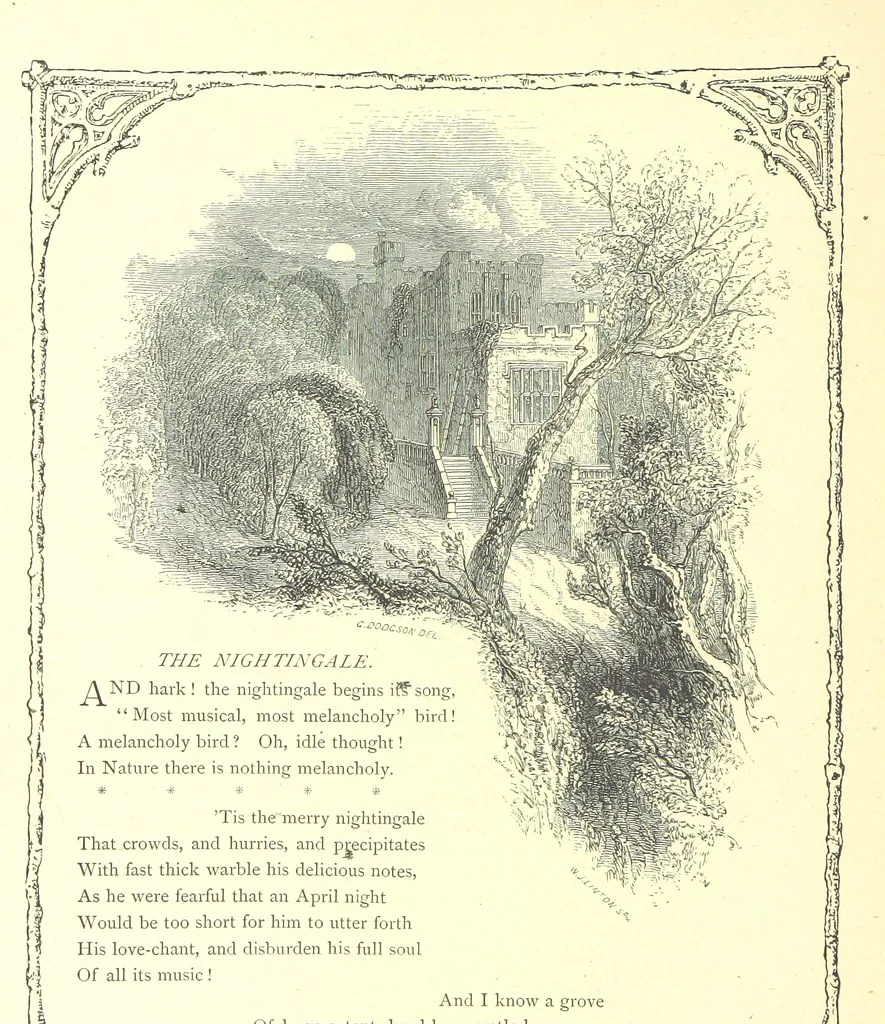 An illustration from Poems and Pictures ... A new edition, 1865, leaf 166