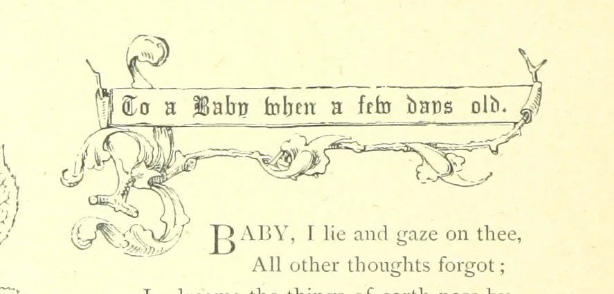 An illustration from Poems and Pictures ... A new edition, 1865, leaf 224