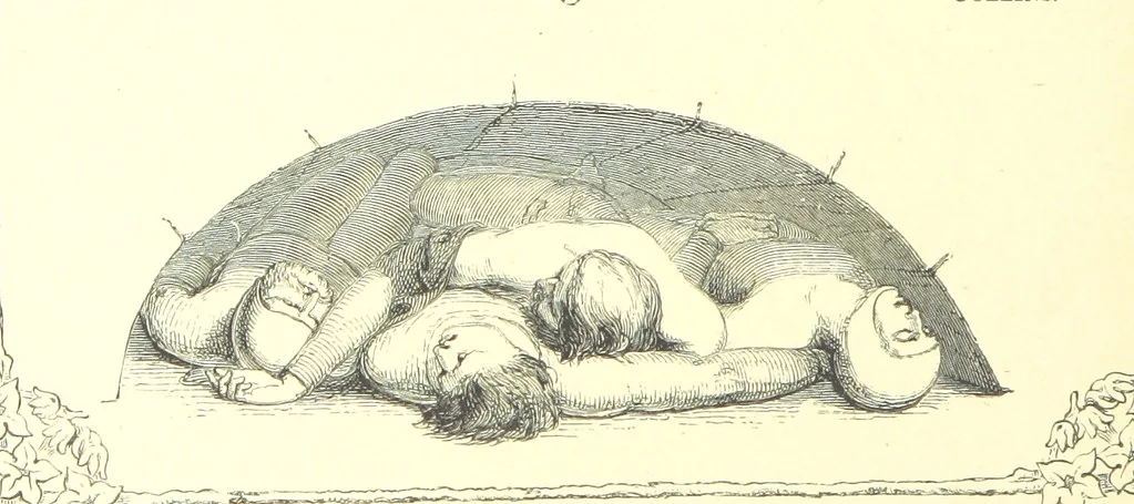 An illustration from Poems and Pictures ... A new edition, 1865, leaf 32