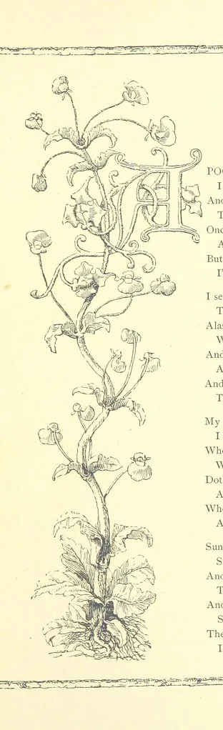 An illustration from Poems and Pictures ... A new edition, 1865, leaf 33