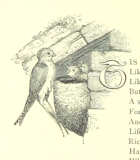 An illustration from Poems and Pictures ... A new edition, 1865, leaf 34
