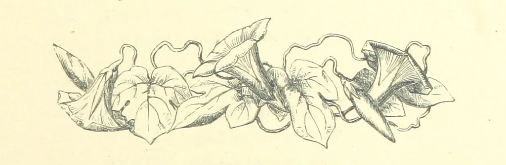 An illustration from Poems and Pictures ... A new edition, 1865, leaf 53