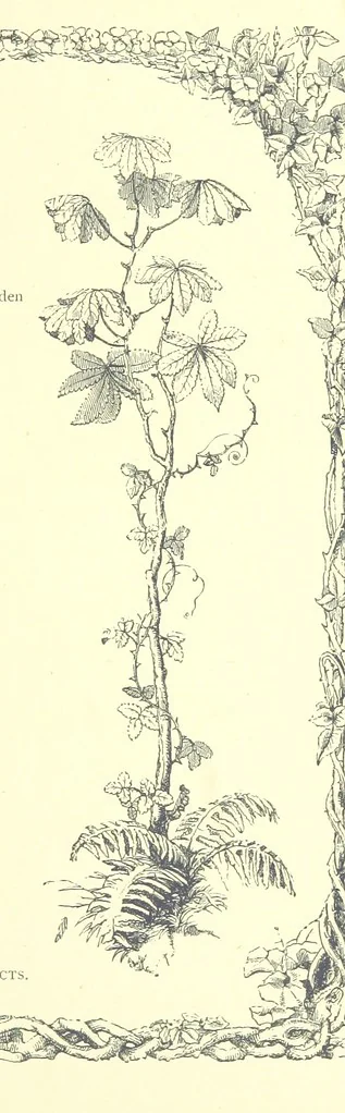 An illustration from Poems and Pictures ... A new edition, 1865, leaf 71