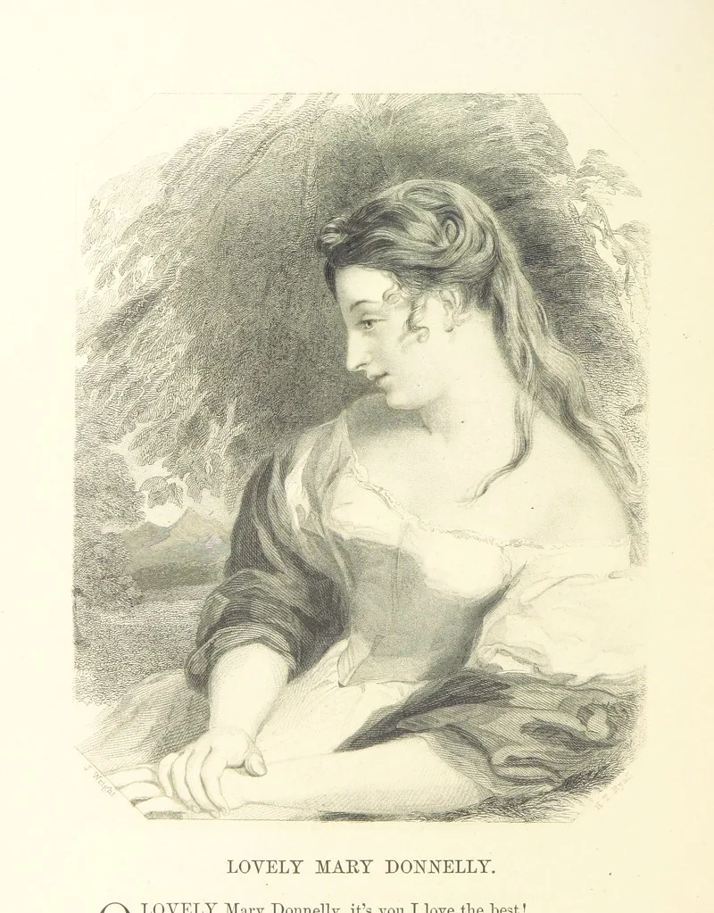 An illustration from The Poet and the Painter; or Gems of Art and Song, 1869, leaf 114