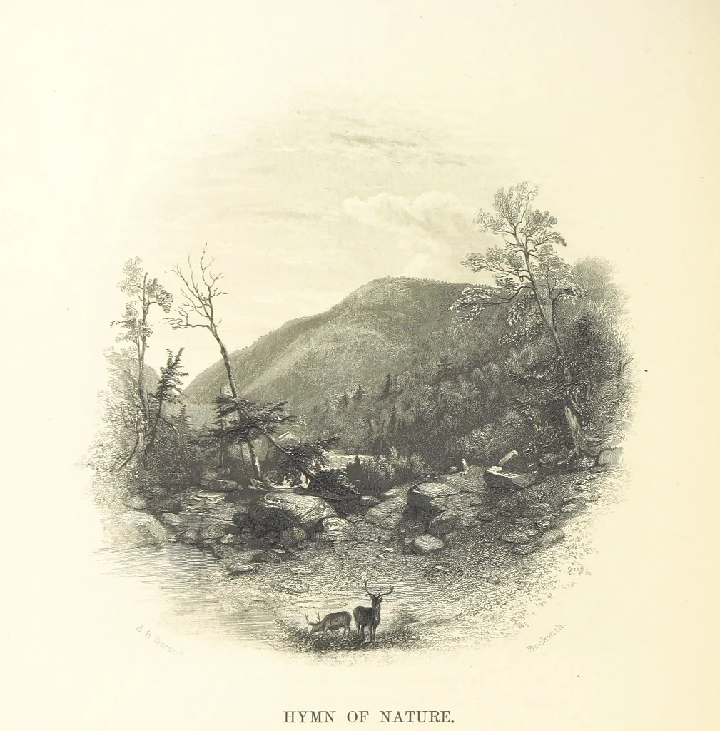 An illustration from The Poet and the Painter; or Gems of Art and Song, 1869, leaf 146