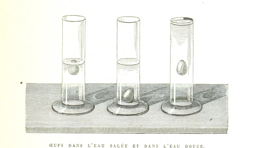 An illustration from Six semaines de vacances. [With illustrations, 1880, leaf 117