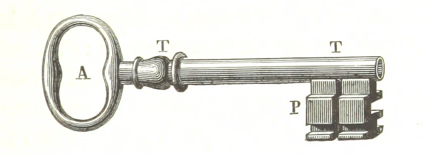 An illustration from Six semaines de vacances. [With illustrations, 1880, leaf 141