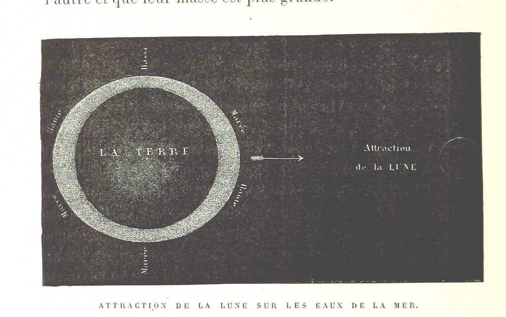 An illustration from Six semaines de vacances. [With illustrations, 1880, leaf 190