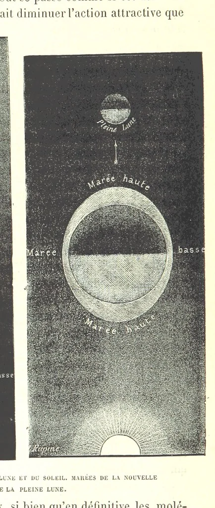 An illustration from Six semaines de vacances. [With illustrations, 1880, leaf 192