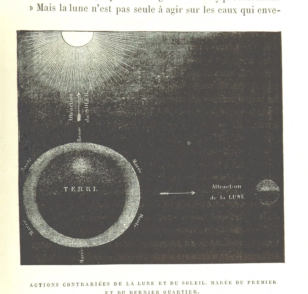 An illustration from Six semaines de vacances. [With illustrations, 1880, leaf 193