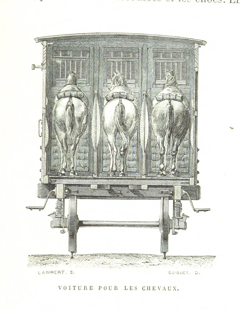 An illustration from Six semaines de vacances. [With illustrations, 1880, leaf 49