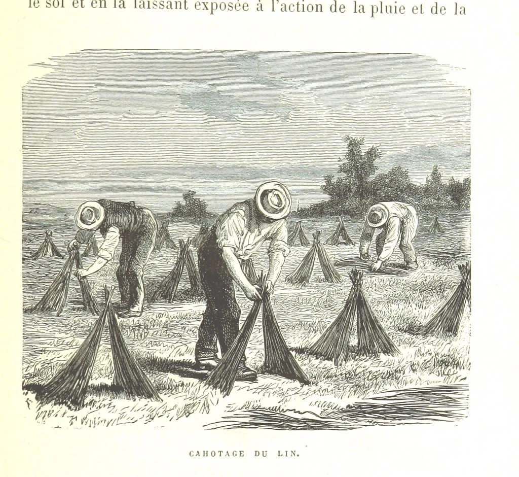 An illustration from Six semaines de vacances. [With illustrations, 1880, leaf 63