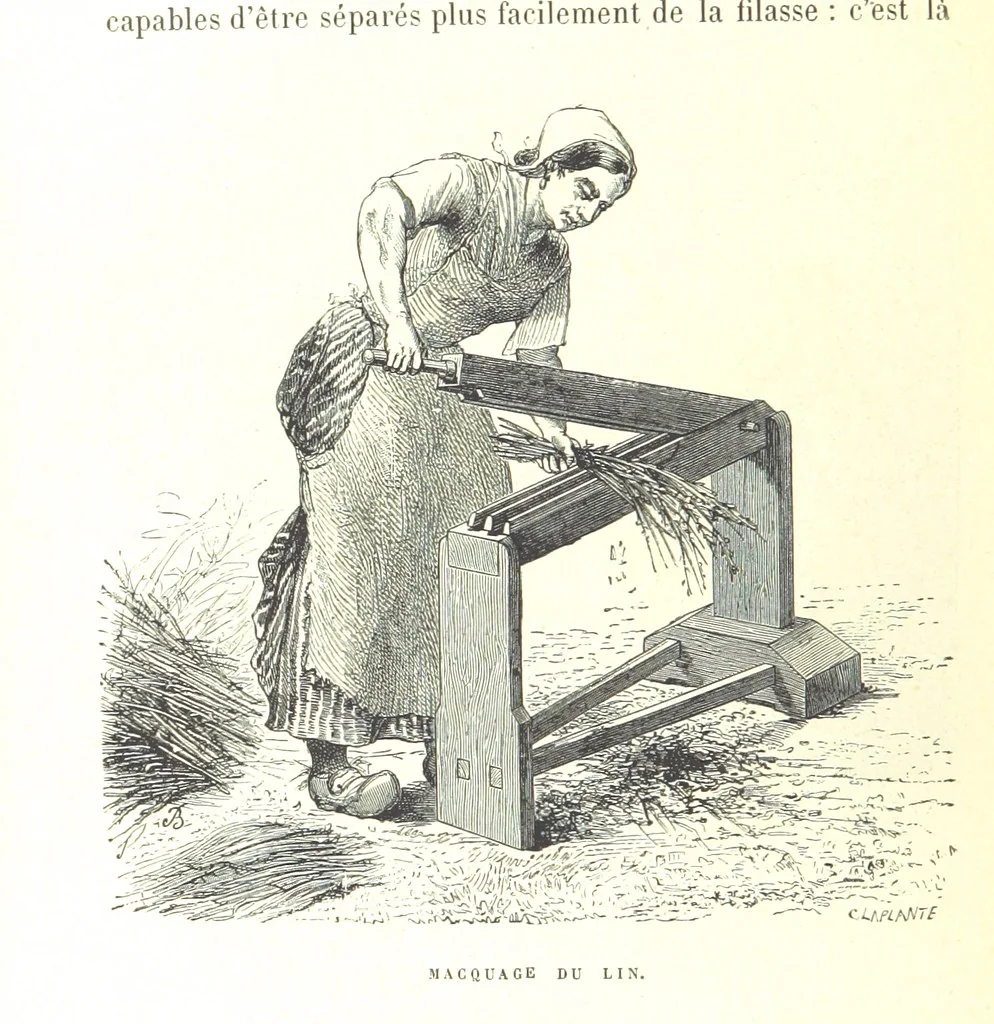 An illustration from Six semaines de vacances. [With illustrations, 1880, leaf 64