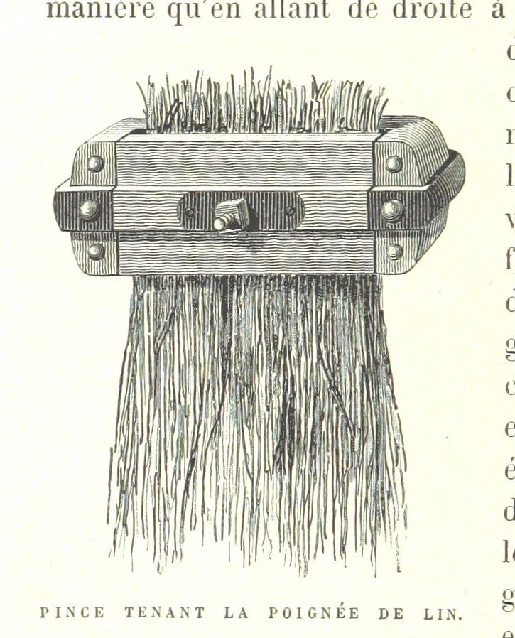 An illustration from Six semaines de vacances. [With illustrations, 1880, leaf 68