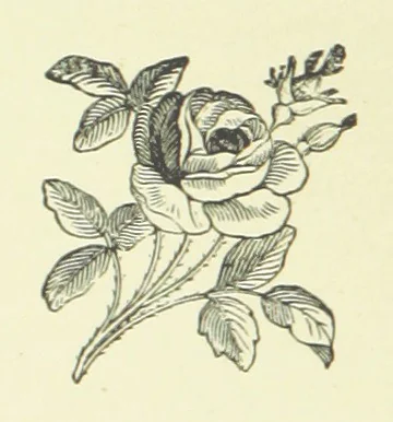 An illustration from Aunt Hetty's Will. ... With illustrations, etc, 1883, leaf 232