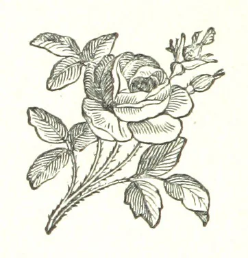 An illustration from Grey Towers; or, Aunt Hetty's Will ... With illustrations by F. Gilbert, 1877, leaf 228