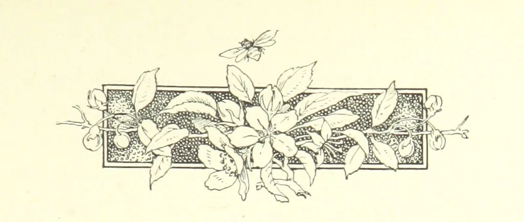 An illustration from Pomona. By the author of “Laddie.” [i.e. Evelyn Whitaker.], etc, 1894, leaf 127