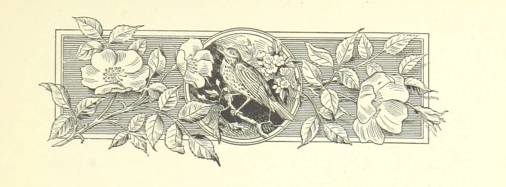 An illustration from Pomona. By the author of “Laddie.” [i.e. Evelyn Whitaker.], etc, 1894, leaf 13