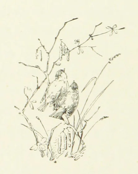 An illustration from Pomona. By the author of “Laddie.” [i.e. Evelyn Whitaker.], etc, 1894, leaf 142