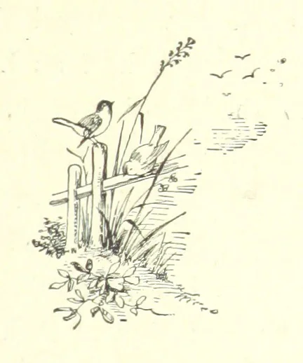 An illustration from Pomona. By the author of “Laddie.” [i.e. Evelyn Whitaker.], etc, 1894, leaf 275