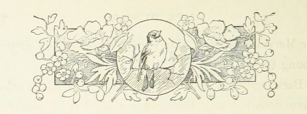 An illustration from Pomona. By the author of “Laddie.” [i.e. Evelyn Whitaker.], etc, 1894, leaf 304