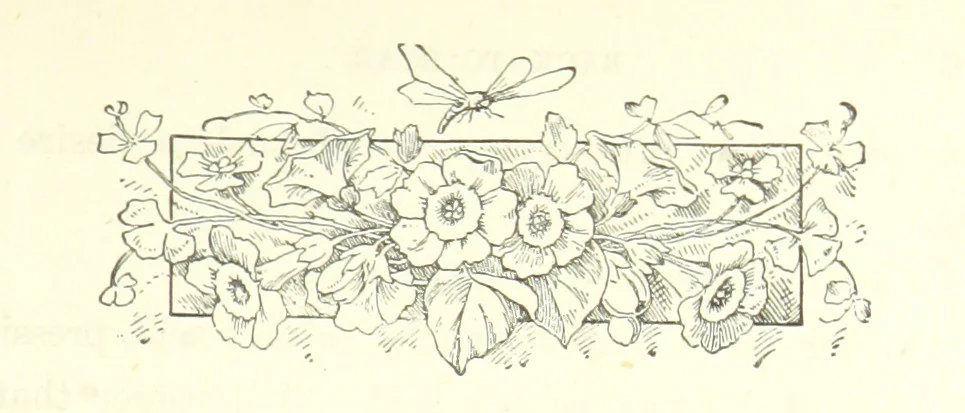 An illustration from Pomona. By the author of “Laddie.” [i.e. Evelyn Whitaker.], etc, 1894, leaf 313