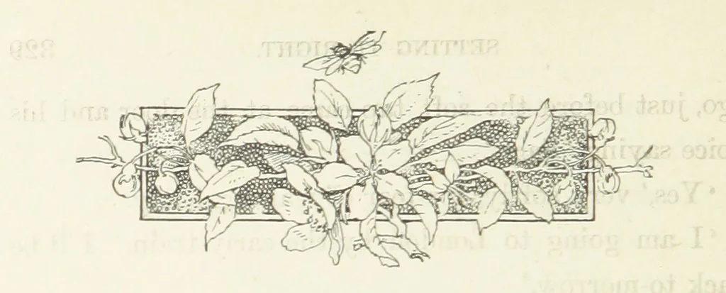 An illustration from Pomona. By the author of “Laddie.” [i.e. Evelyn Whitaker.], etc, 1894, leaf 334