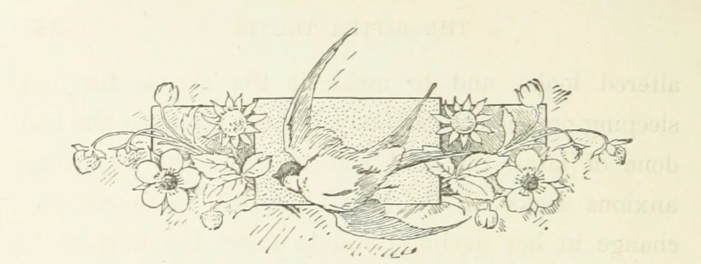 An illustration from Pomona. By the author of “Laddie.” [i.e. Evelyn Whitaker.], etc, 1894, leaf 348