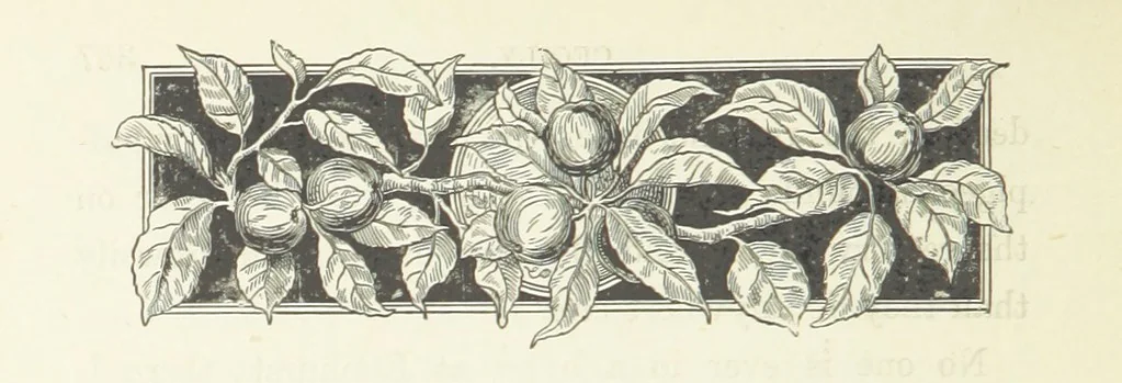 An illustration from Pomona. By the author of “Laddie.” [i.e. Evelyn Whitaker.], etc, 1894, leaf 372