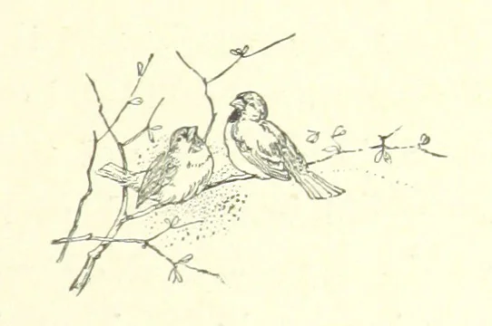 An illustration from Pomona. By the author of “Laddie.” [i.e. Evelyn Whitaker.], etc, 1894, leaf 45