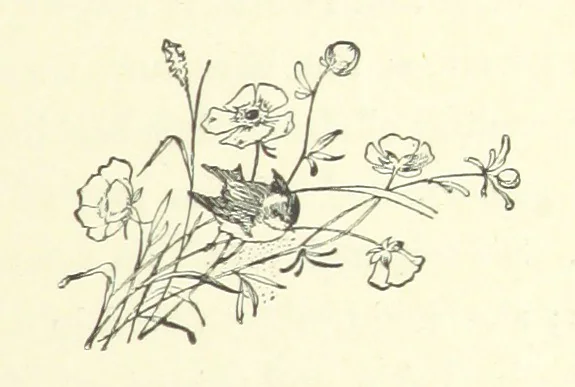 An illustration from Pomona. By the author of “Laddie.” [i.e. Evelyn Whitaker.], etc, 1894, leaf 57