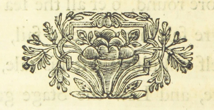 An illustration from The Works of Mr. Alexander Pope. 2 vol. (Vol. 2: Essay on Man.-Epistles to several persons.-Satires of Horace.-Satires of Dr John Donne.-Epitaphs.-The Dunciad.), 1717, leaf 332