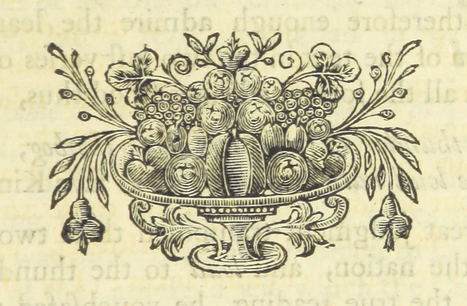 An illustration from The Works of Mr. Alexander Pope. 2 vol. (Vol. 2: Essay on Man.-Epistles to several persons.-Satires of Horace.-Satires of Dr John Donne.-Epitaphs.-The Dunciad.), 1717, leaf 407