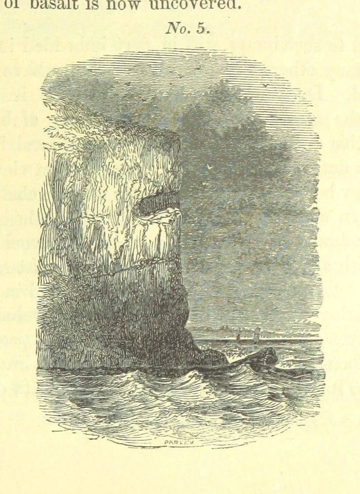 An illustration from Report on the Geology of the County of Londonderry, and of parts of Tyrone and Fermanagh. [With maps and plates, 1843, leaf 131