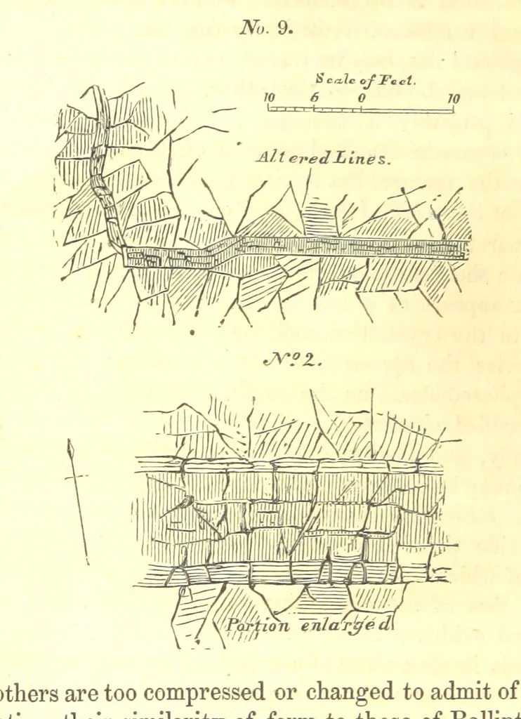 An illustration from Report on the Geology of the County of Londonderry, and of parts of Tyrone and Fermanagh. [With maps and plates, 1843, leaf 138