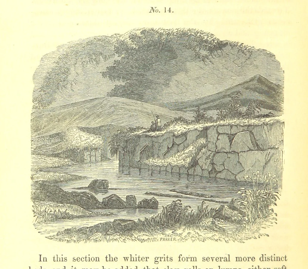 An illustration from Report on the Geology of the County of Londonderry, and of parts of Tyrone and Fermanagh. [With maps and plates, 1843, leaf 144