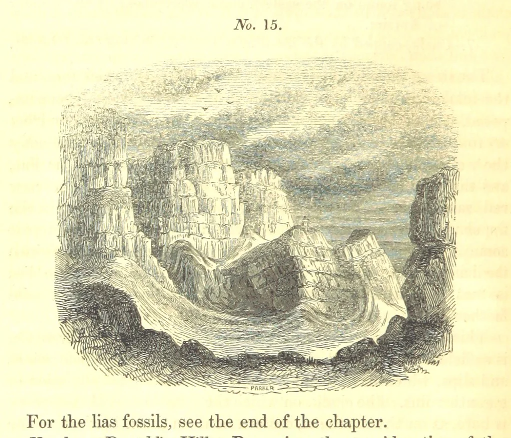An illustration from Report on the Geology of the County of Londonderry, and of parts of Tyrone and Fermanagh. [With maps and plates, 1843, leaf 148