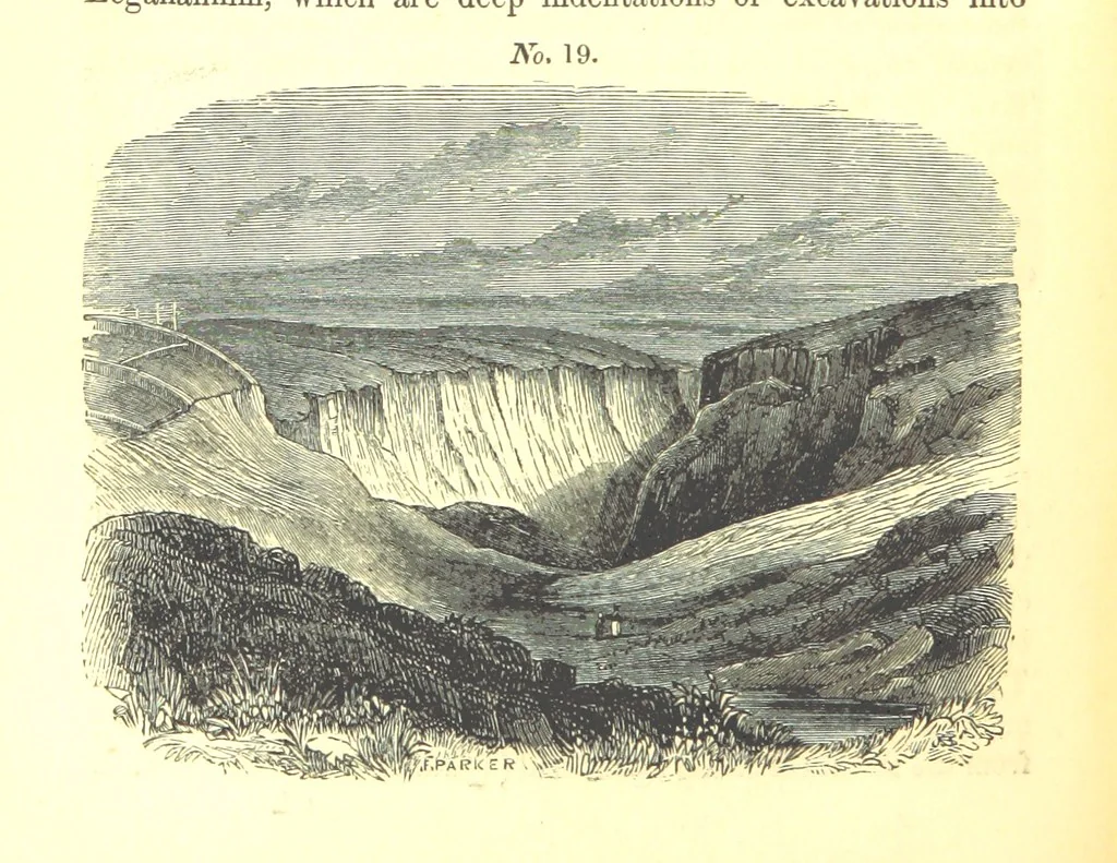 An illustration from Report on the Geology of the County of Londonderry, and of parts of Tyrone and Fermanagh. [With maps and plates, 1843, leaf 186