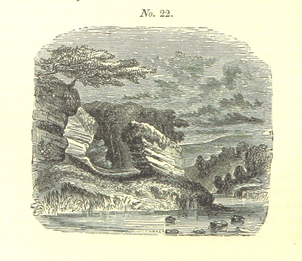 An illustration from Report on the Geology of the County of Londonderry, and of parts of Tyrone and Fermanagh. [With maps and plates, 1843, leaf 214