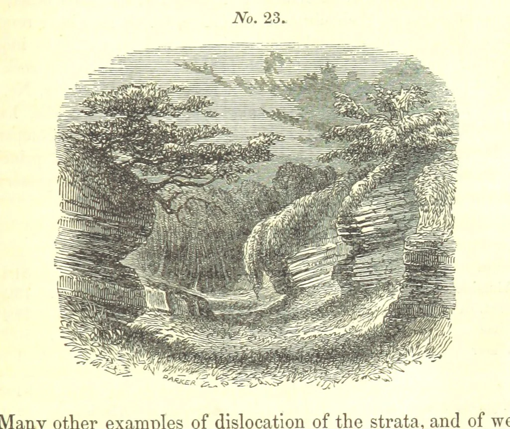 An illustration from Report on the Geology of the County of Londonderry, and of parts of Tyrone and Fermanagh. [With maps and plates, 1843, leaf 215