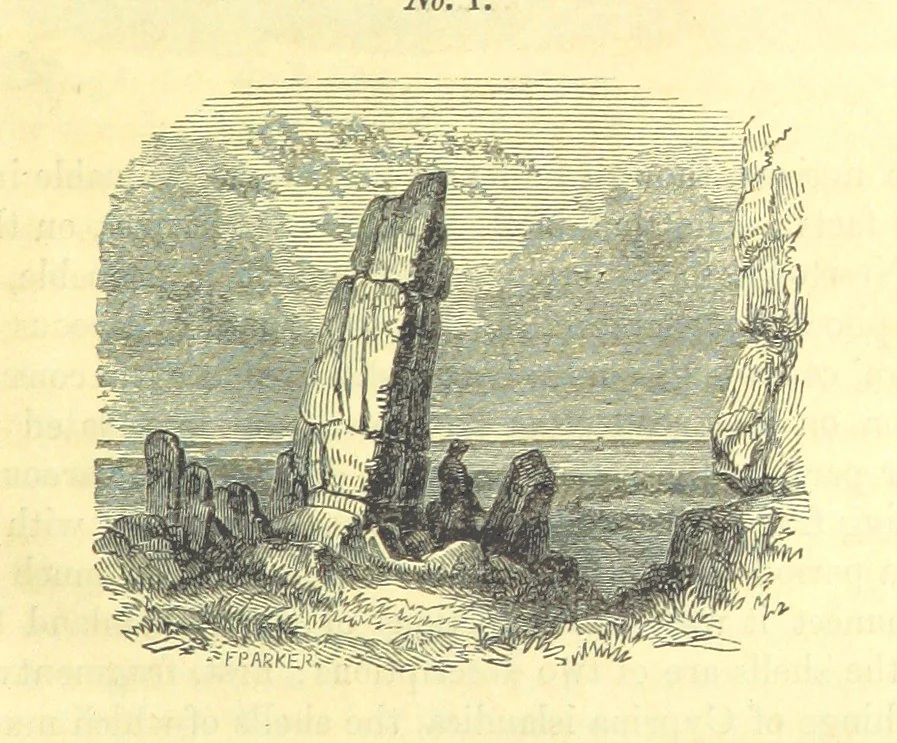 An illustration from Report on the Geology of the County of Londonderry, and of parts of Tyrone and Fermanagh. [With maps and plates, 1843, leaf 63