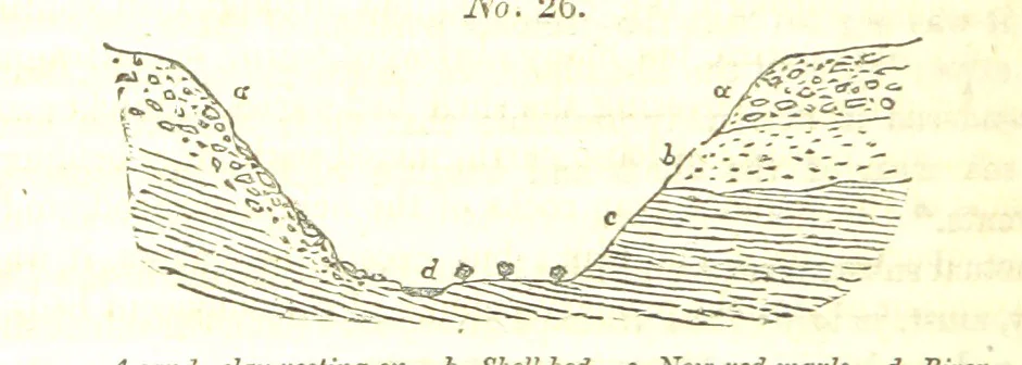 An illustration from Report on the Geology of the County of Londonderry, and of parts of Tyrone and Fermanagh. [With maps and plates, 1843, leaf 776