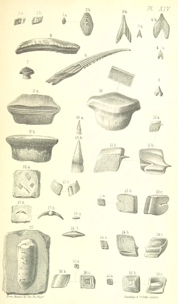 An illustration from Report on the Geology of the County of Londonderry, and of parts of Tyrone and Fermanagh. [With maps and plates, 1843, leaf 859